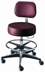 Brewer Counter Height Stool with Backrest and Footring